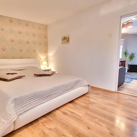 Toompuiestee Penthouse With Sauna Appartement